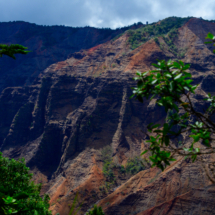 Ha_Kauai-71-IG