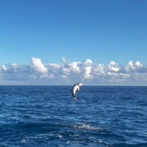 Kauai_23-14-IG