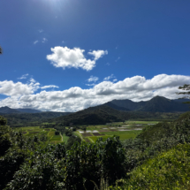 Kauai_23-2-IG-Export Insta 1080_1920_72-6