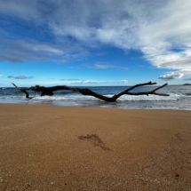 Kauai_23-4-IG