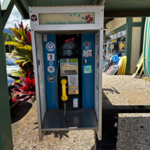 Kauai_23-IG-Export Insta 1080_1920_72-6